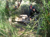 20060430-RedHill 033 